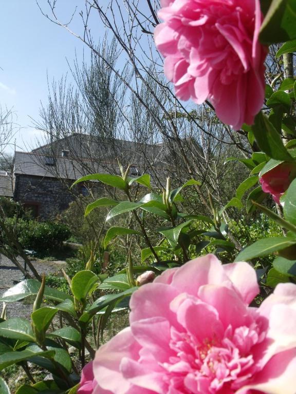 Stag Coach House Carmel Exterior foto